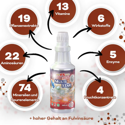 Starlife MULTI STAR – Mikrokolloidale Lösung mit 74 Mineralien, 13 Vitaminen, 22 Aminosäuren